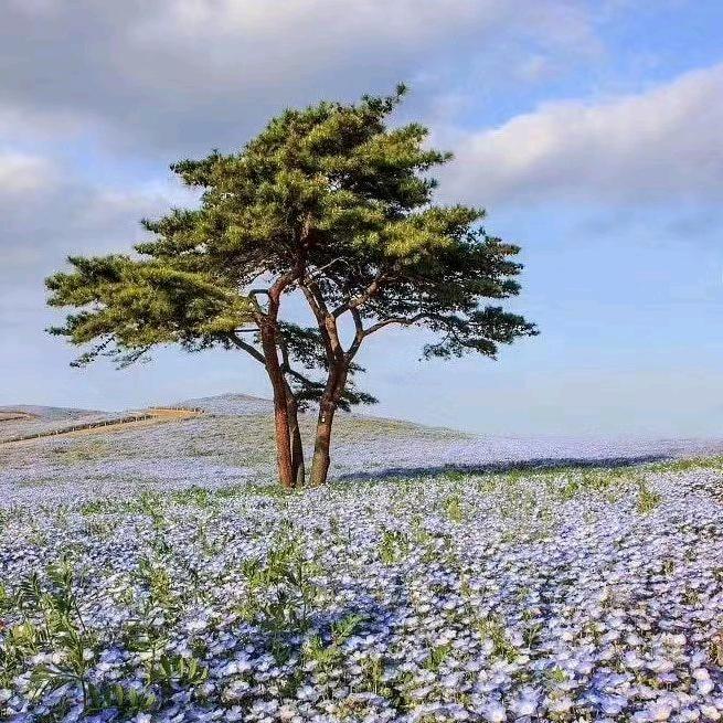 九月丞溪🐴🐶