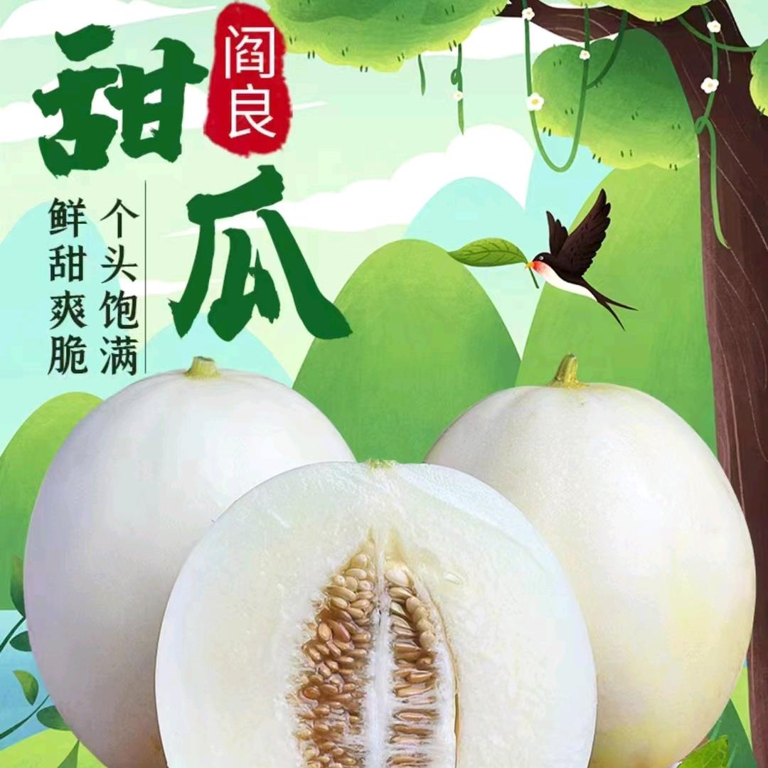 桐果乐