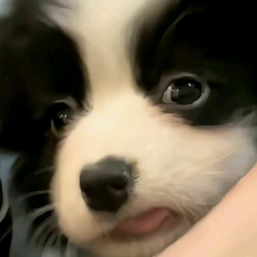超没梗