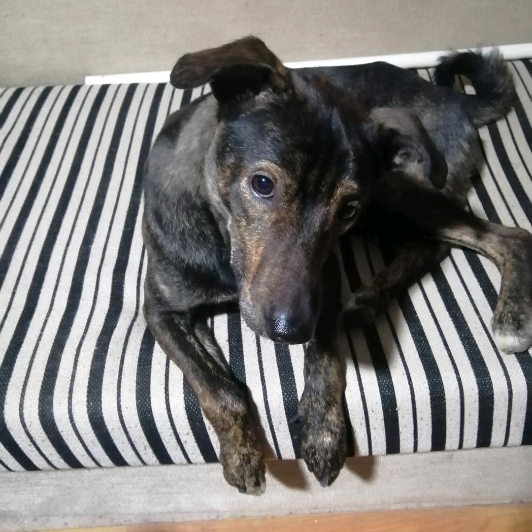 🌹🌹🍄🍄天天好心情～