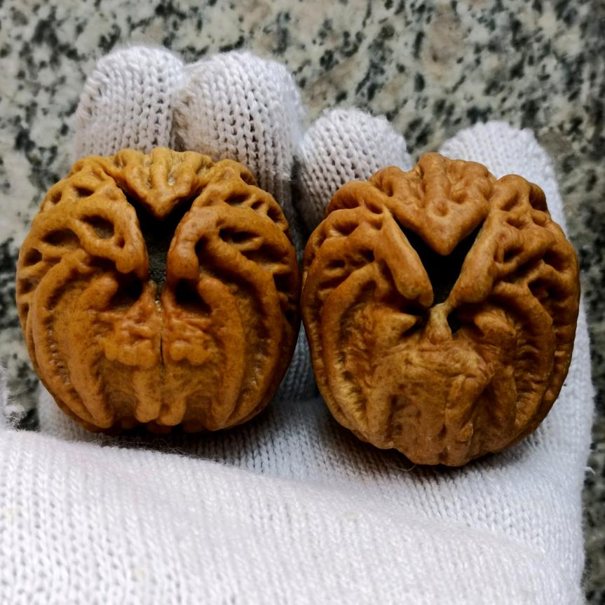 乾坤鬼脸核桃！核光同尘！