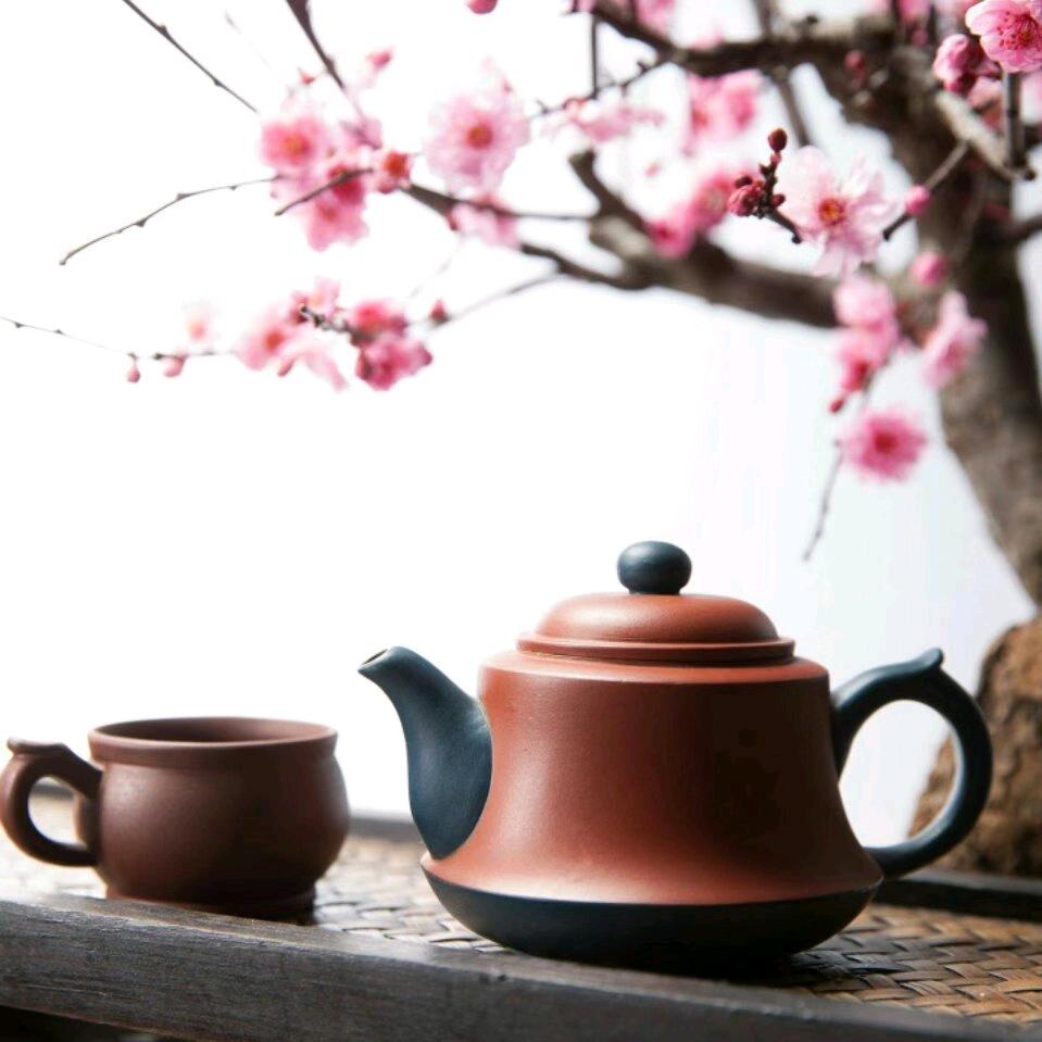 侯歌