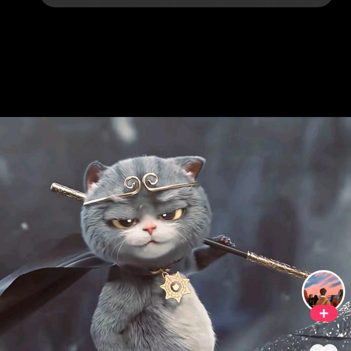 室内装修（张）