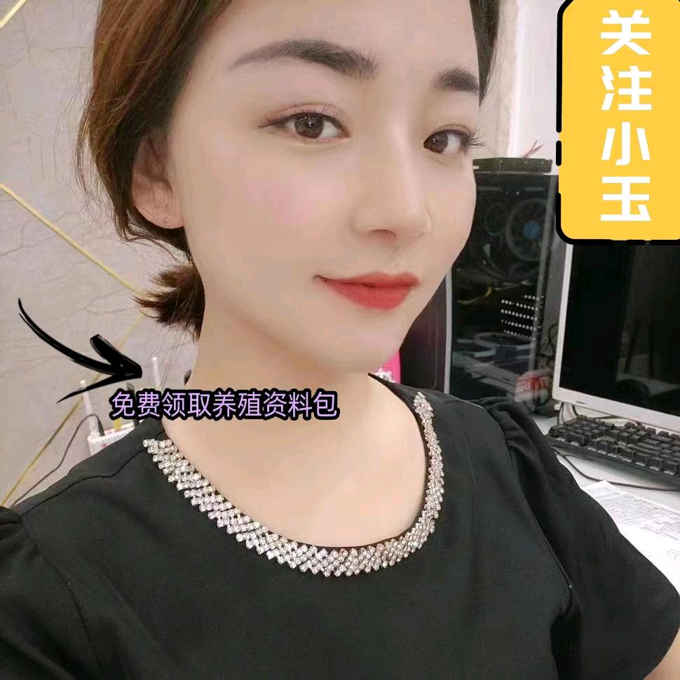 玉姐聊养殖