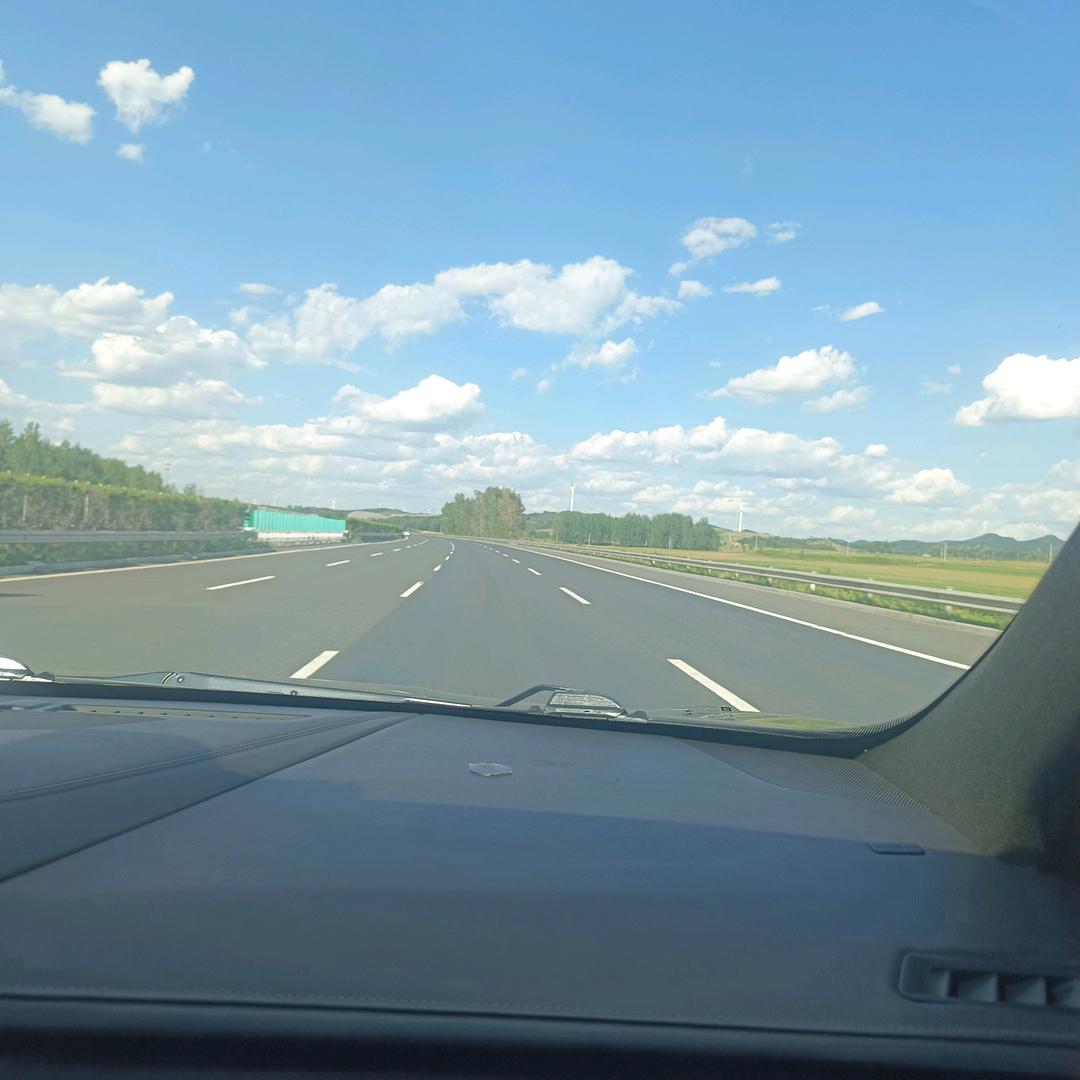 看遍杀尽天下的猪