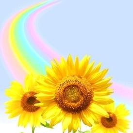 向日葵🌈🌻