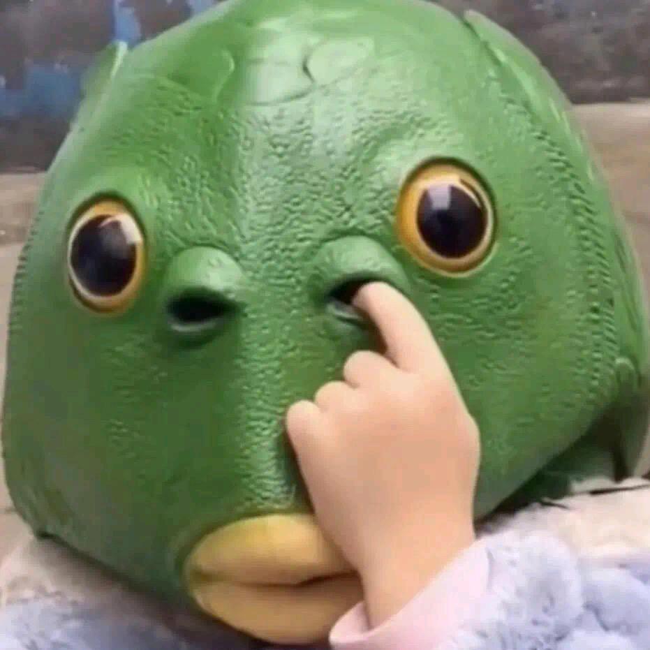 柴辰龙