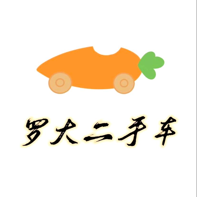 灌南罗大二手车