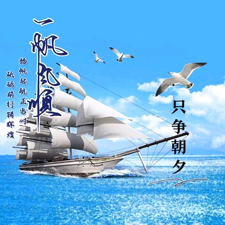只争朝夕💫