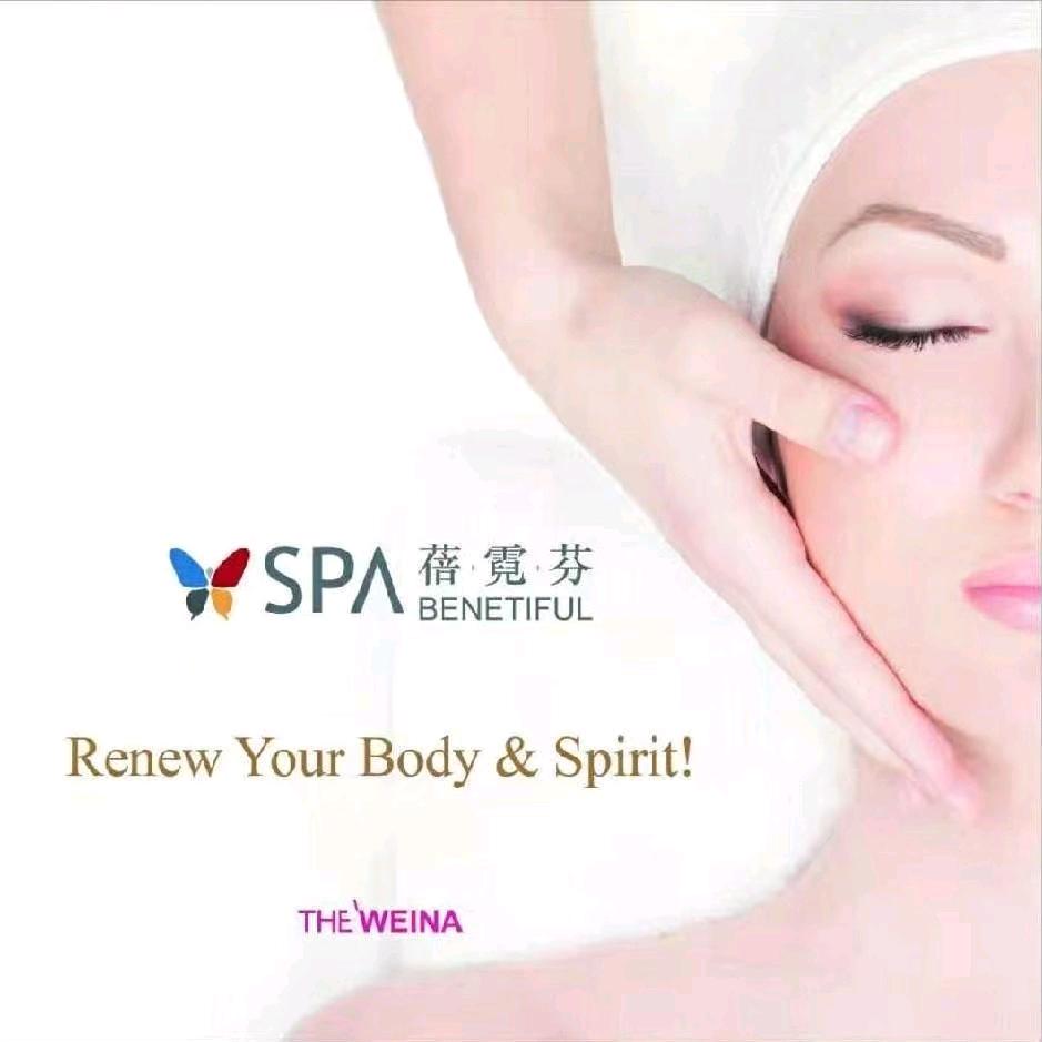 维娜蓓霓芬小青