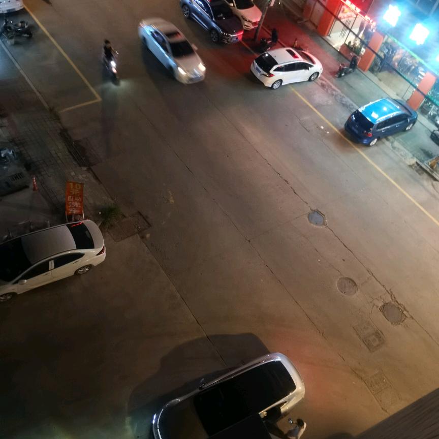 会飞的鱼
