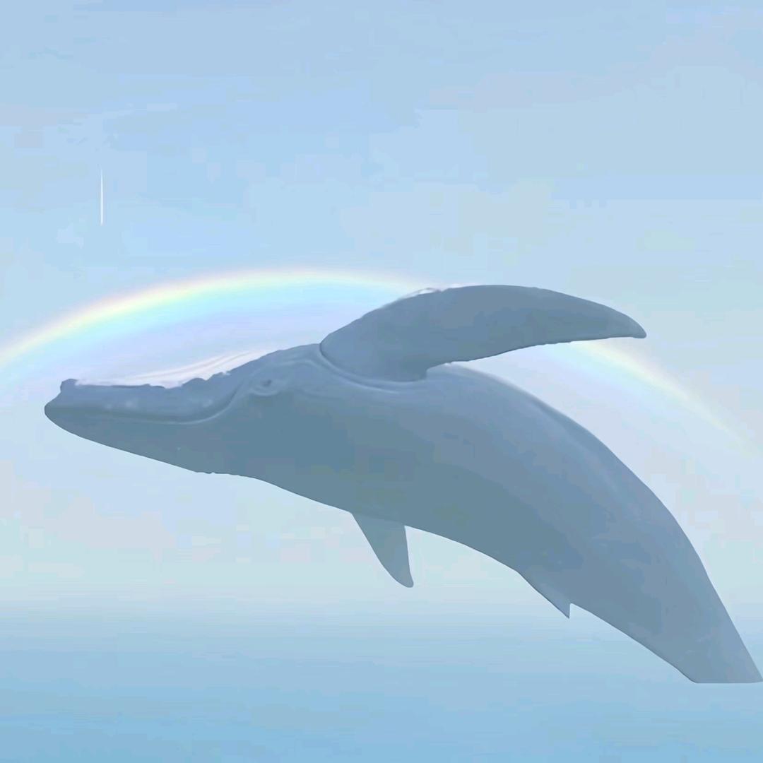 🐟🐳