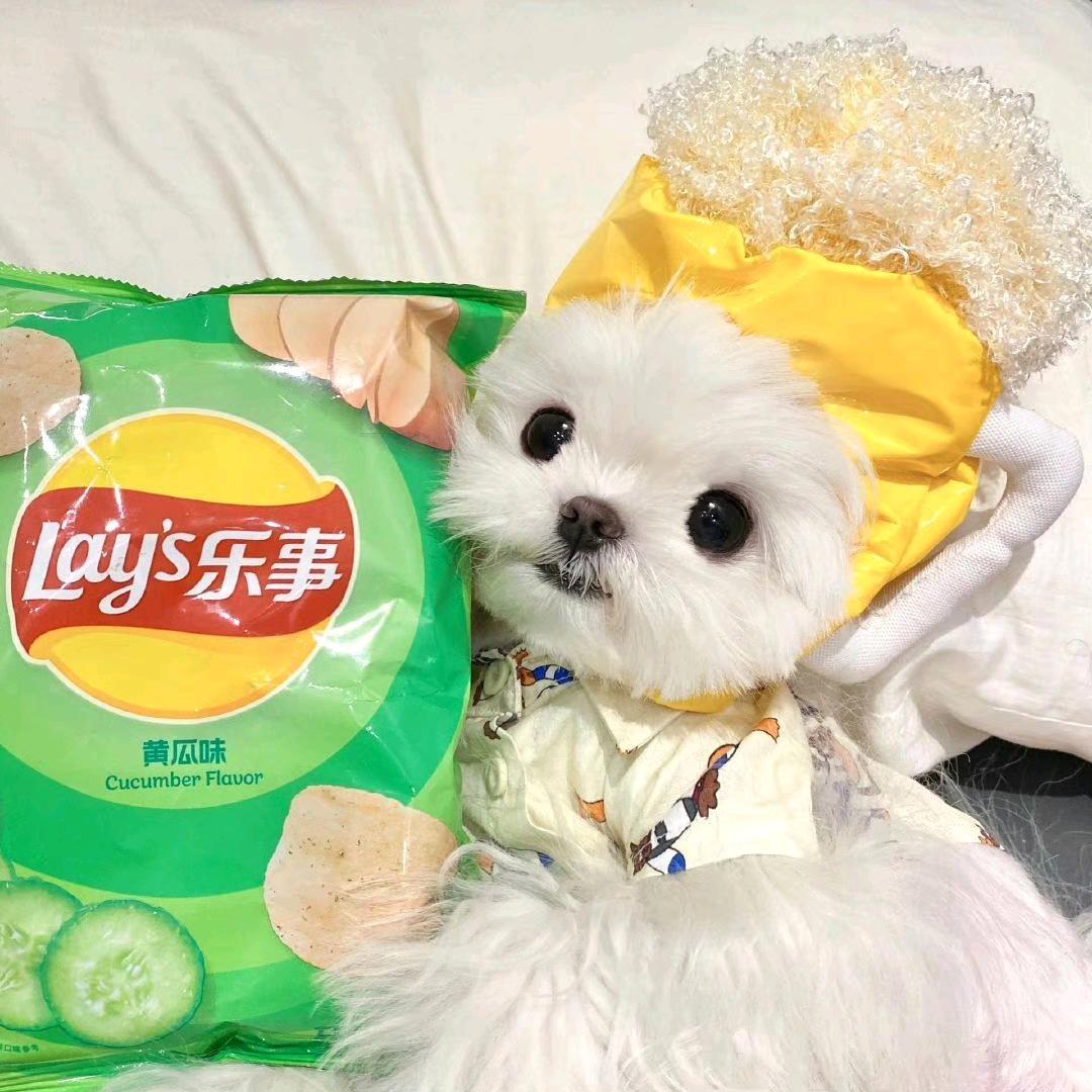 葱聪吖