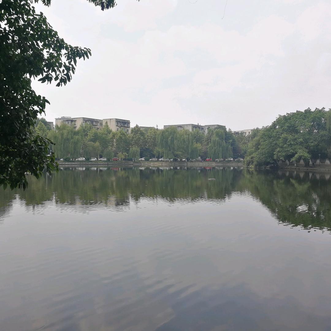茉恩萌