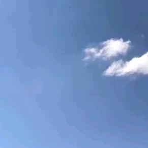 七骆