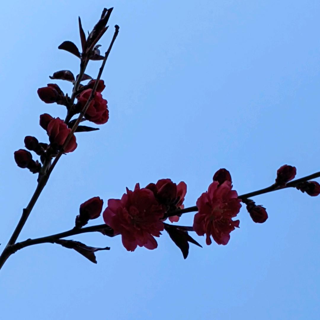 我的家乡葫芦岛