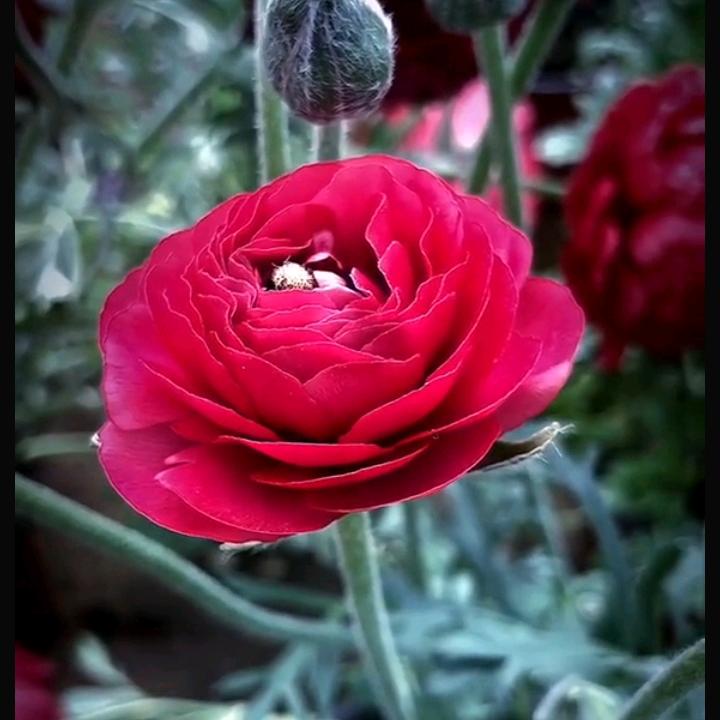 一生有你💃🏾