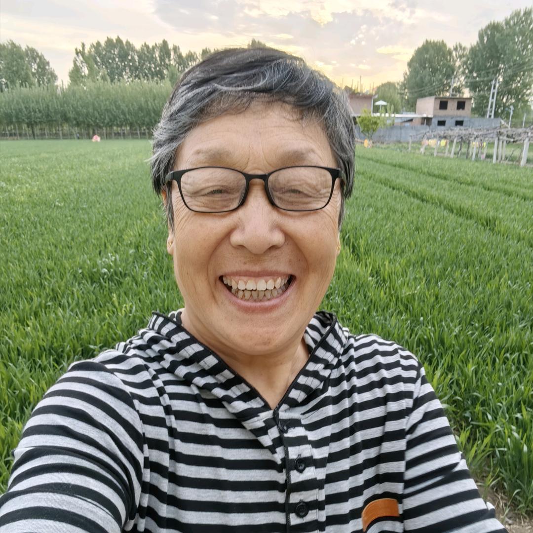 菜篮子首播下3点半开播