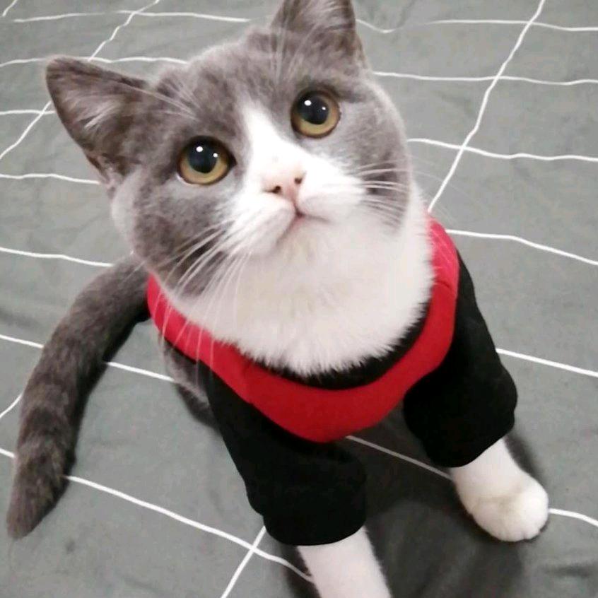 你真美联系