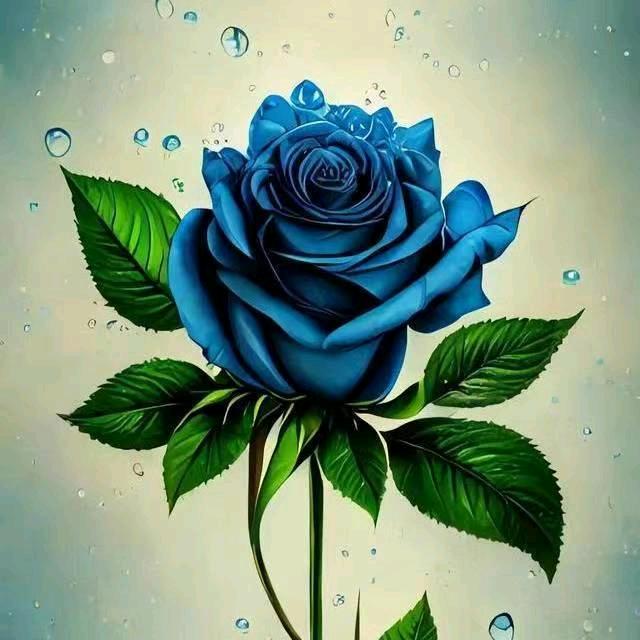 @爱人如己 相濡以沫