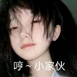 美丽的风景