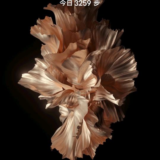 太和县顶俏生物洗衣液工厂店