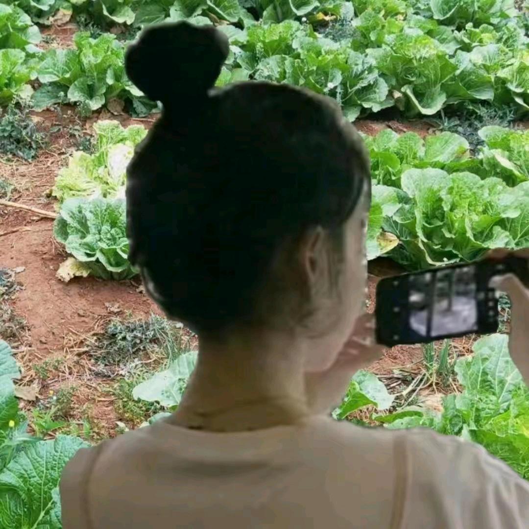 丫头呀呀