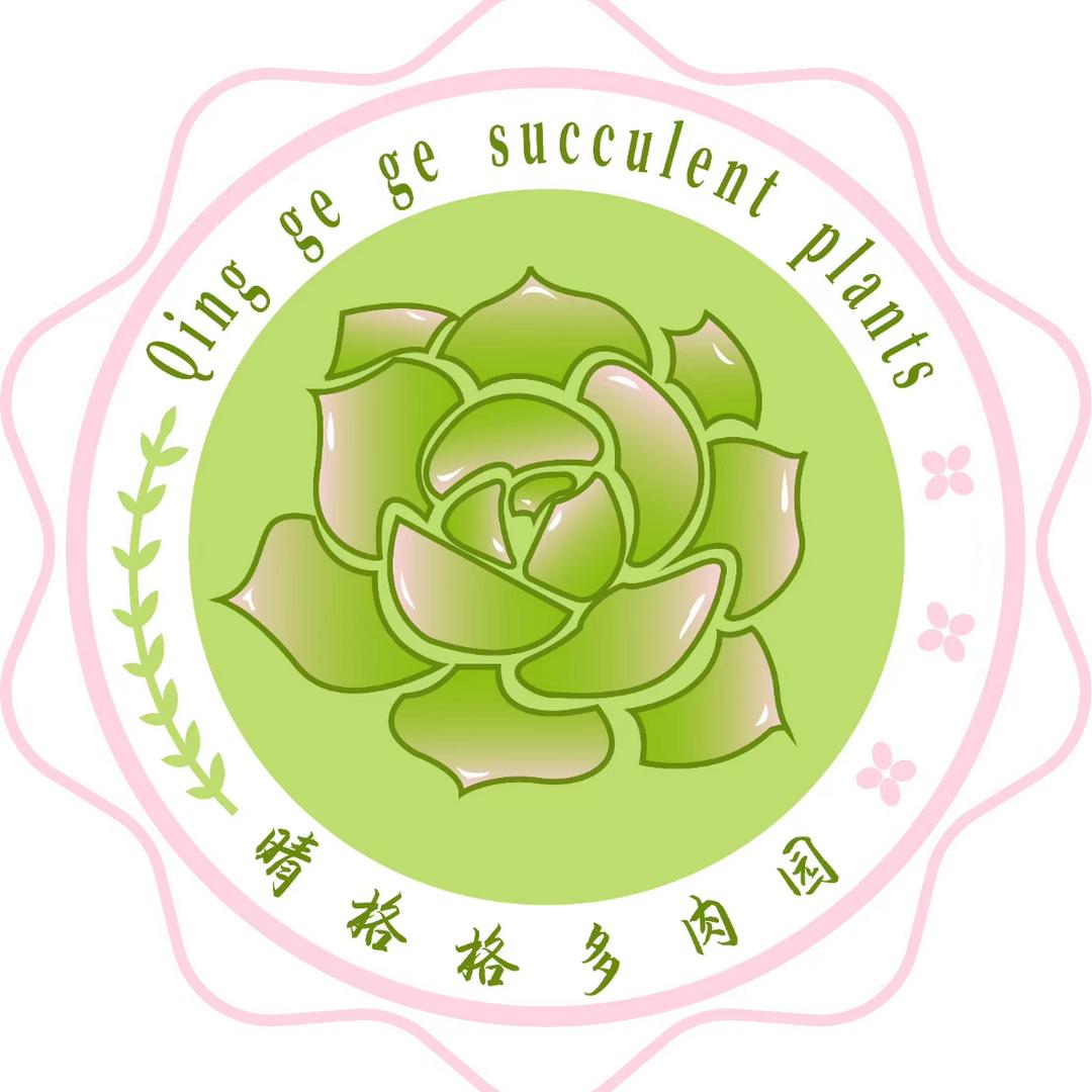 晴格格多肉园
