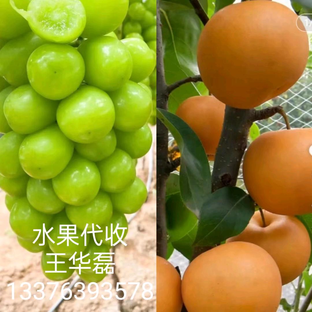 用户8579660309621王华磊