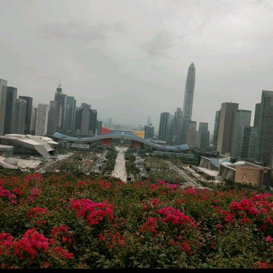 雪花❄
