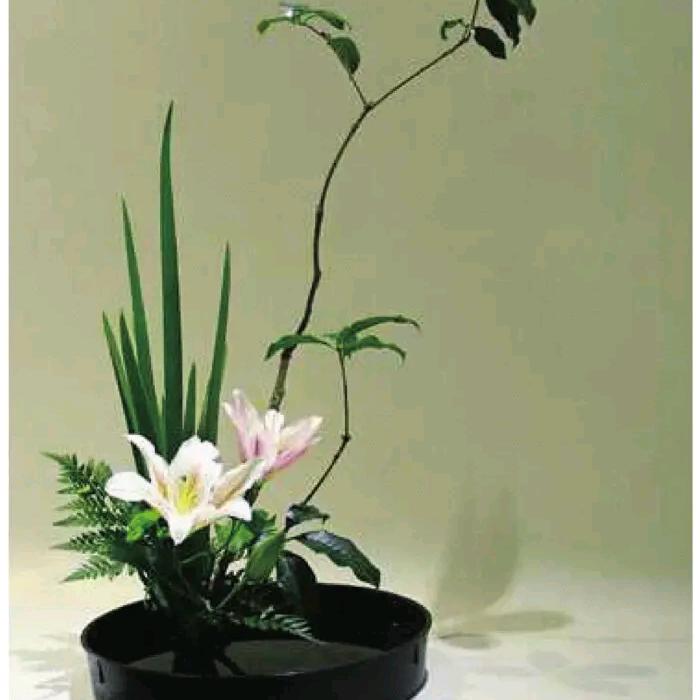 深圳市宝安区秋烨贸易行