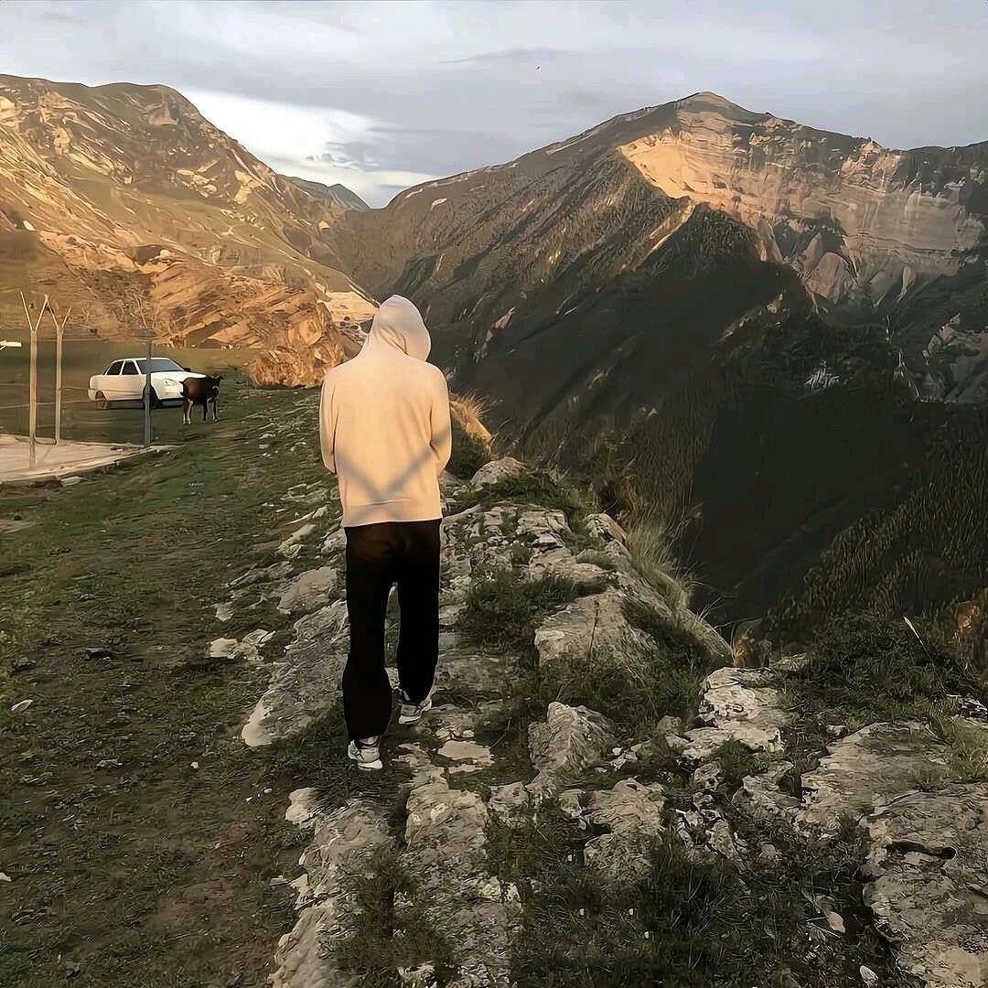 🌈桃花