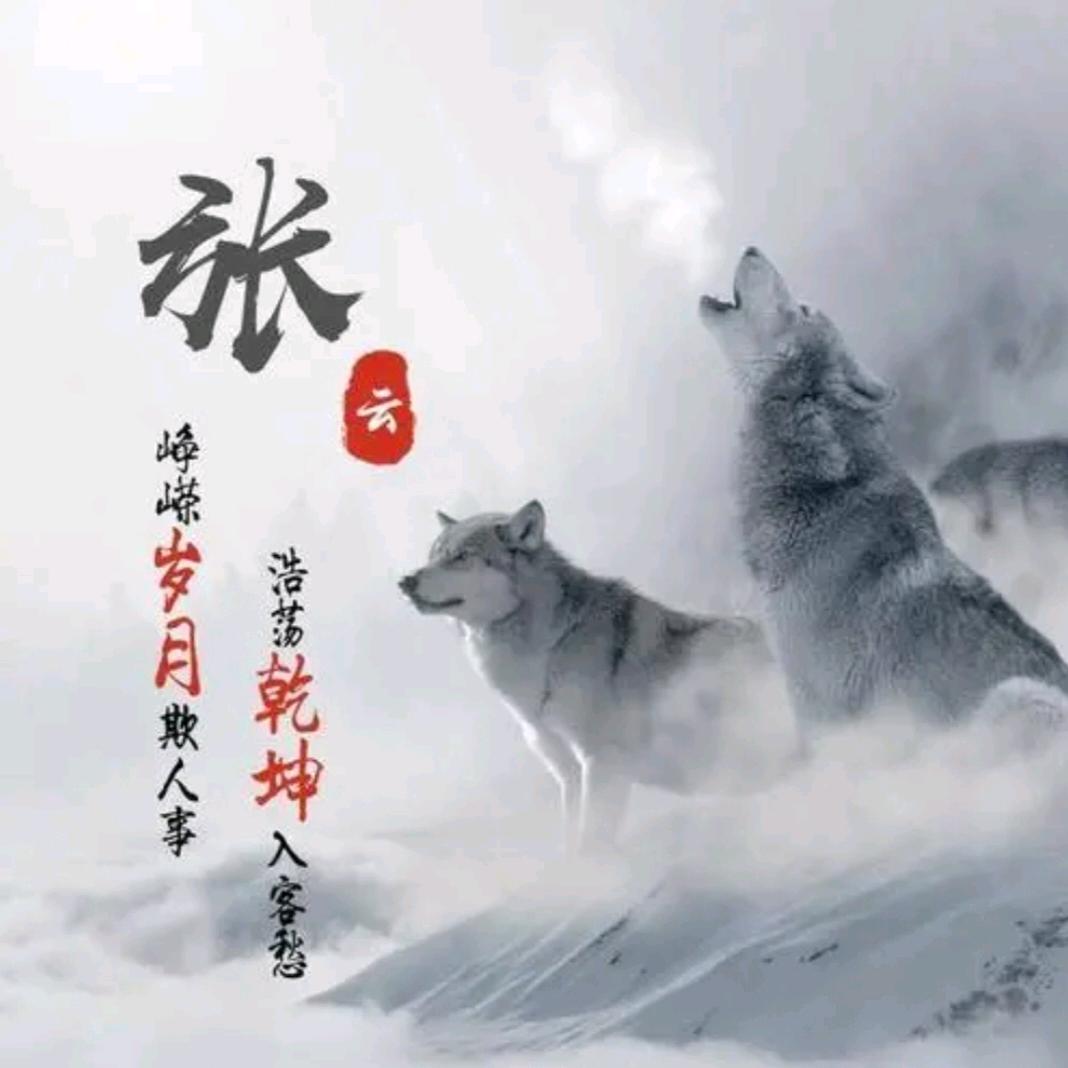 受伤的狼,73.正月.初9🐮