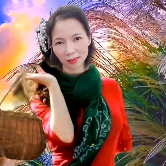 苏妲颖《橱窗好物》