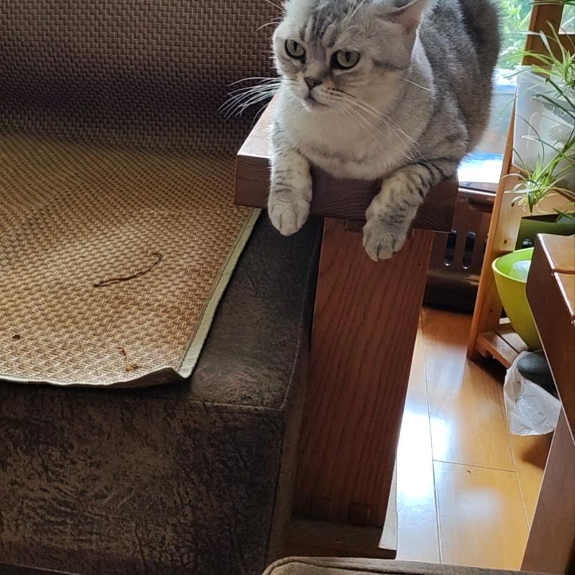 一寸光