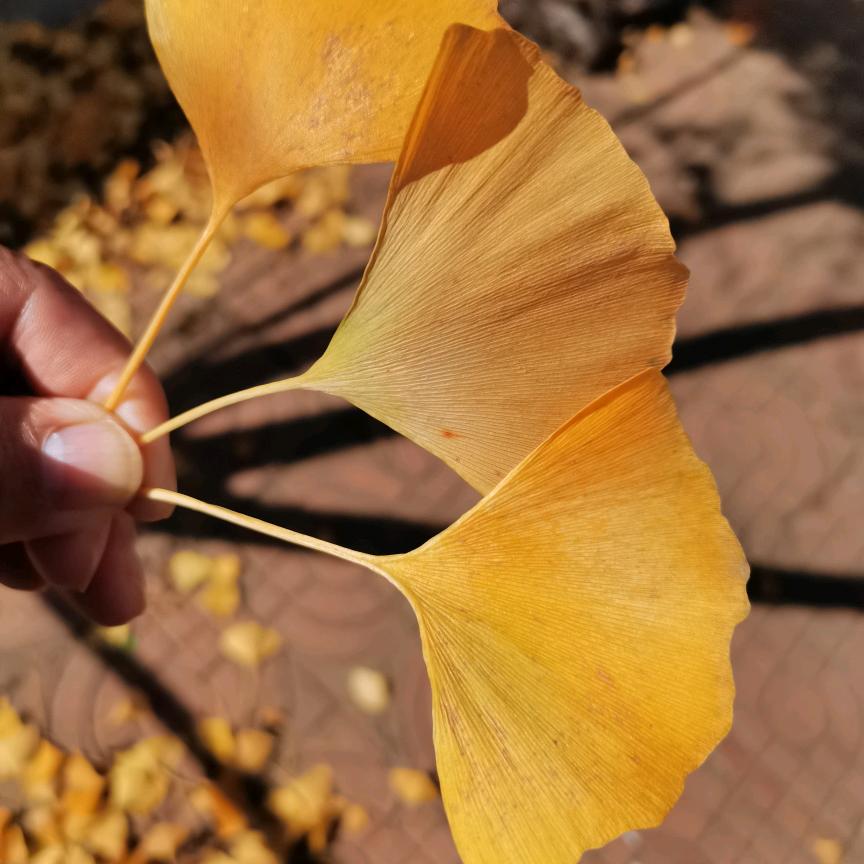 朋友遍天下，知心无几人