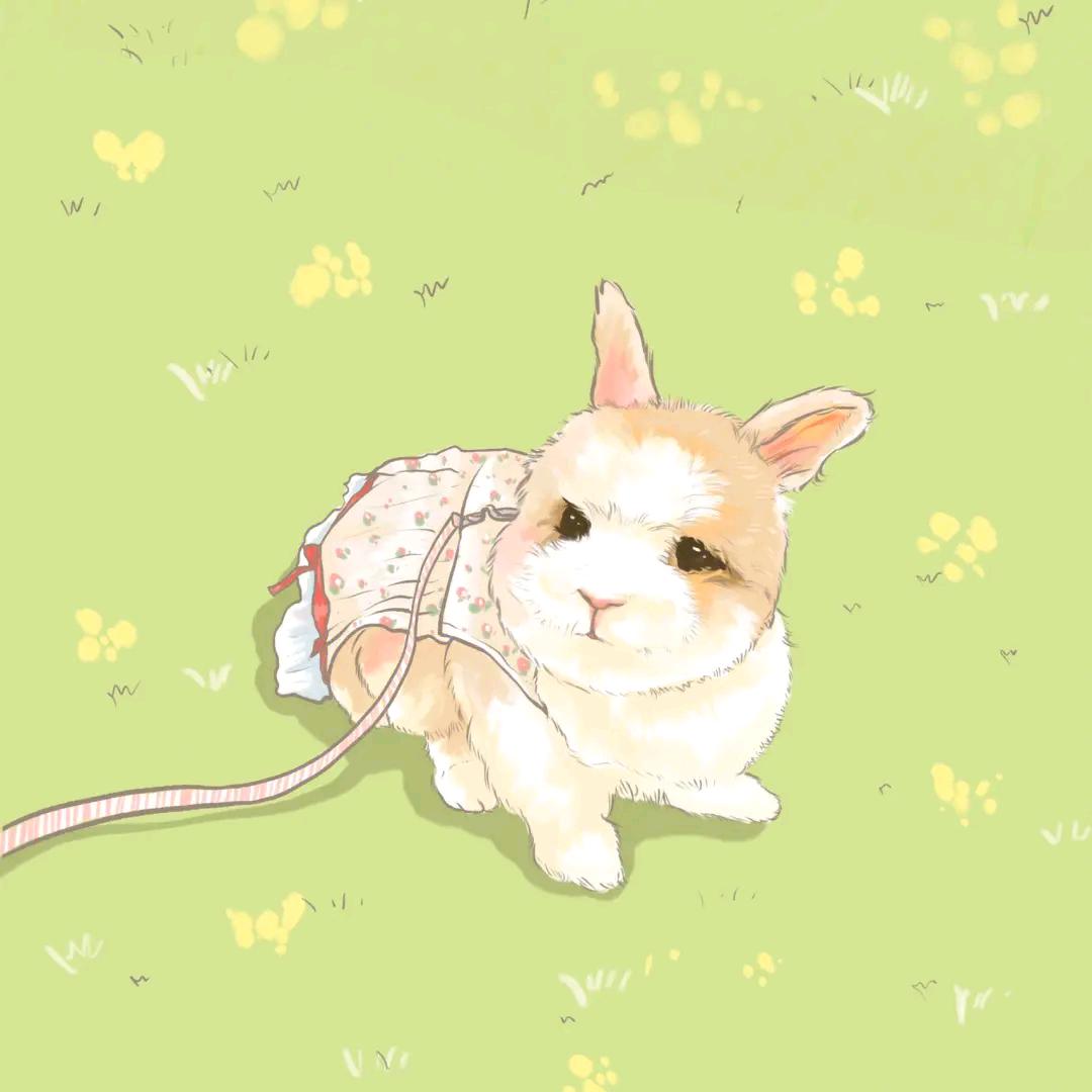 妤沫