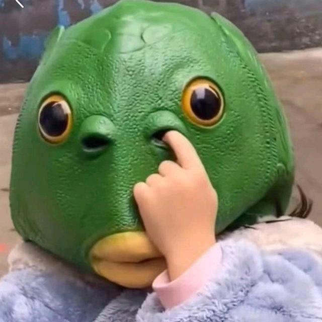 MTDG