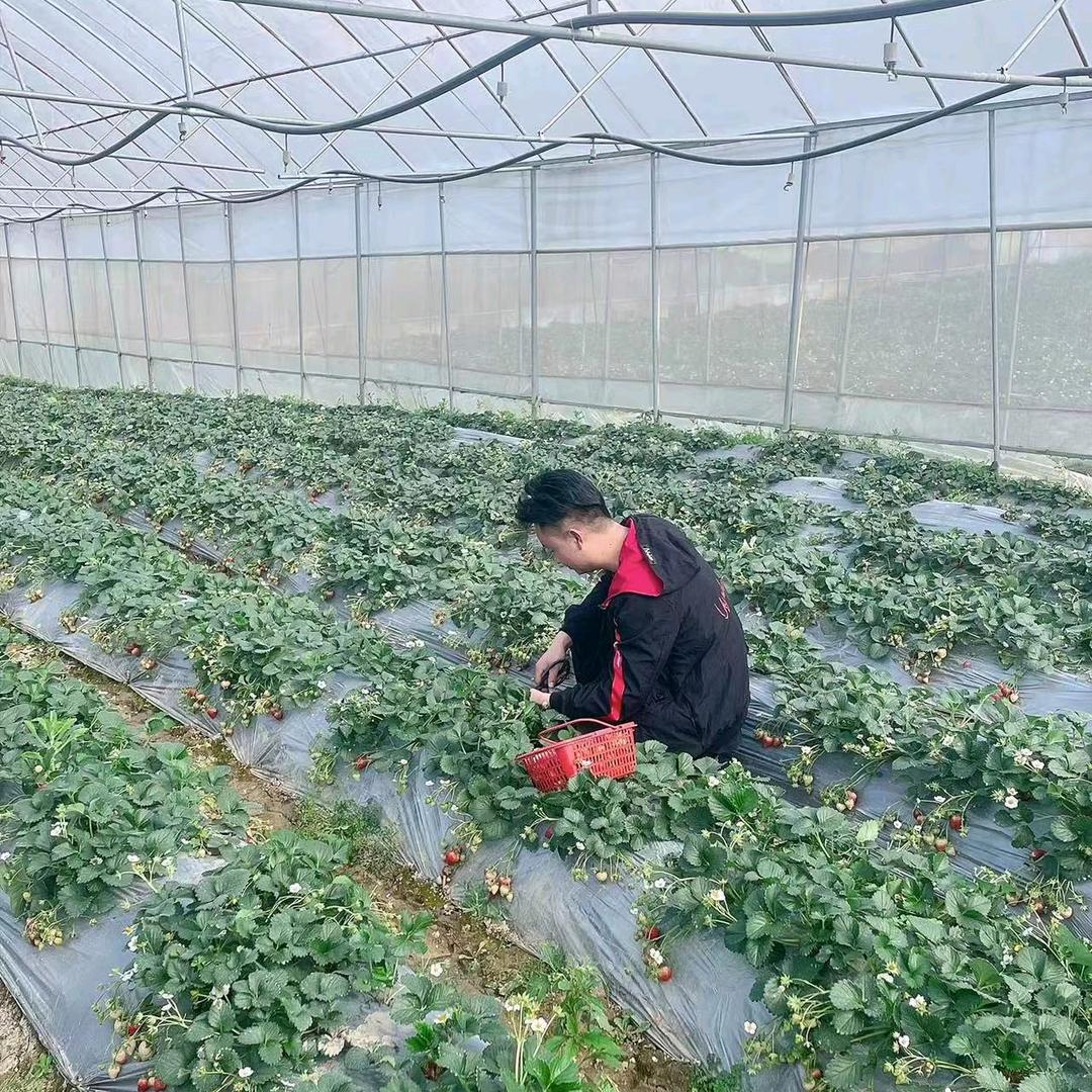 AA张大少