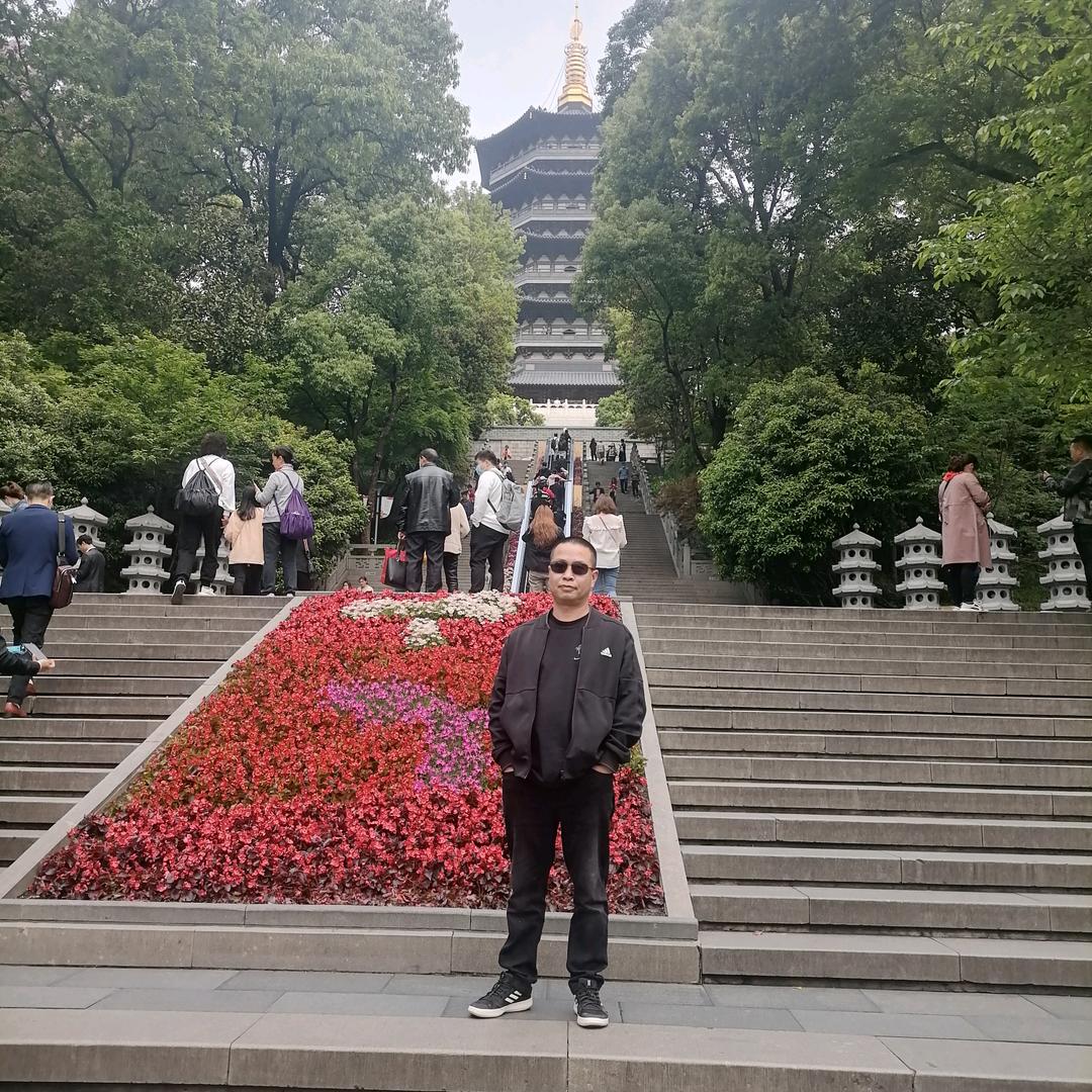 沙漠胡杨4878