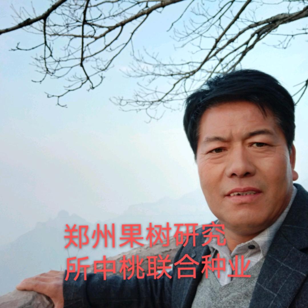 武陟县硕丰园林苗木