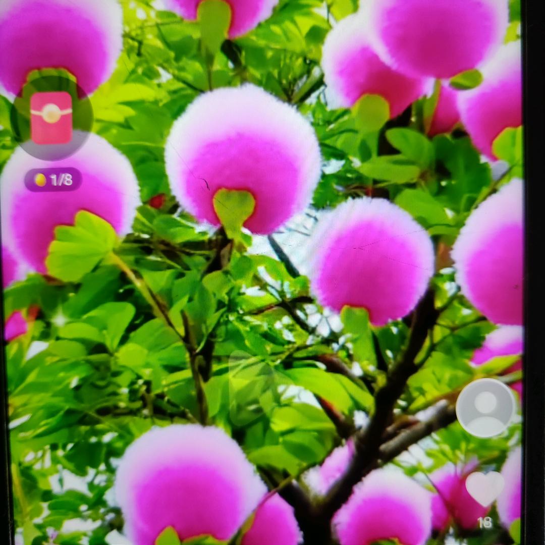 德秀