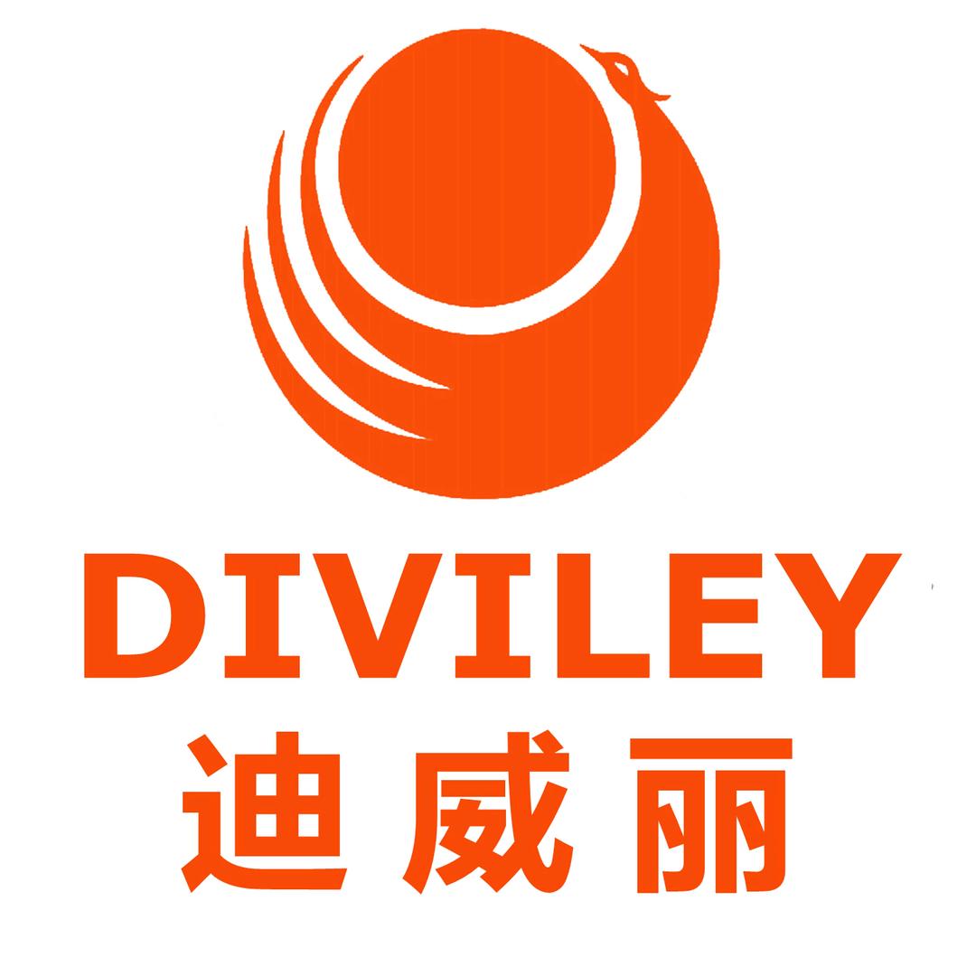 迪威丽箱包