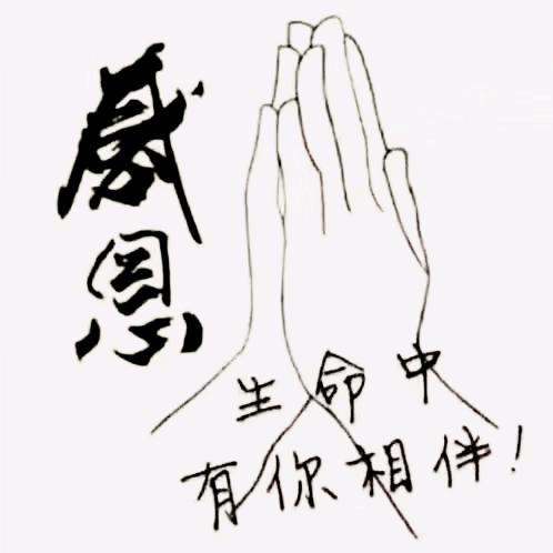 静观风雨