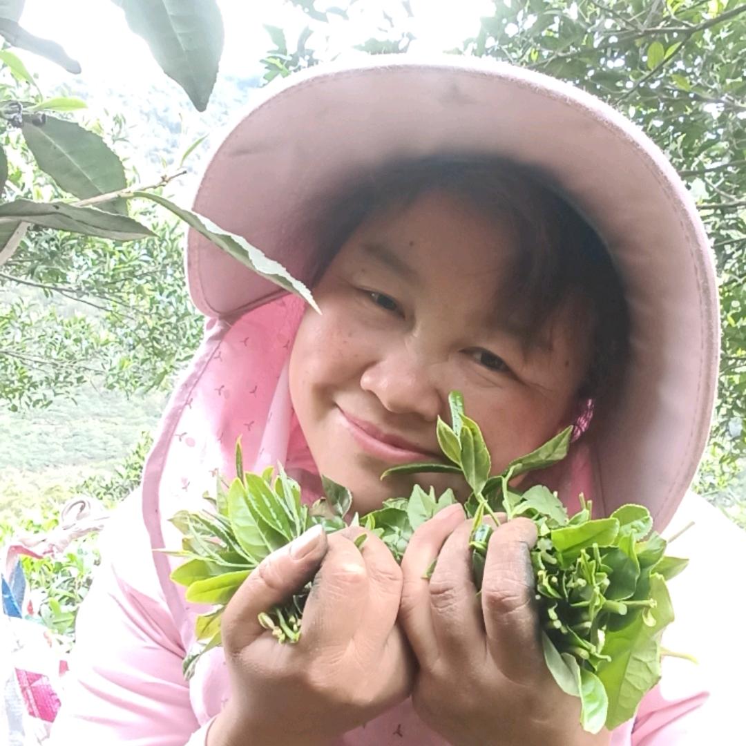 新桥老婆婆