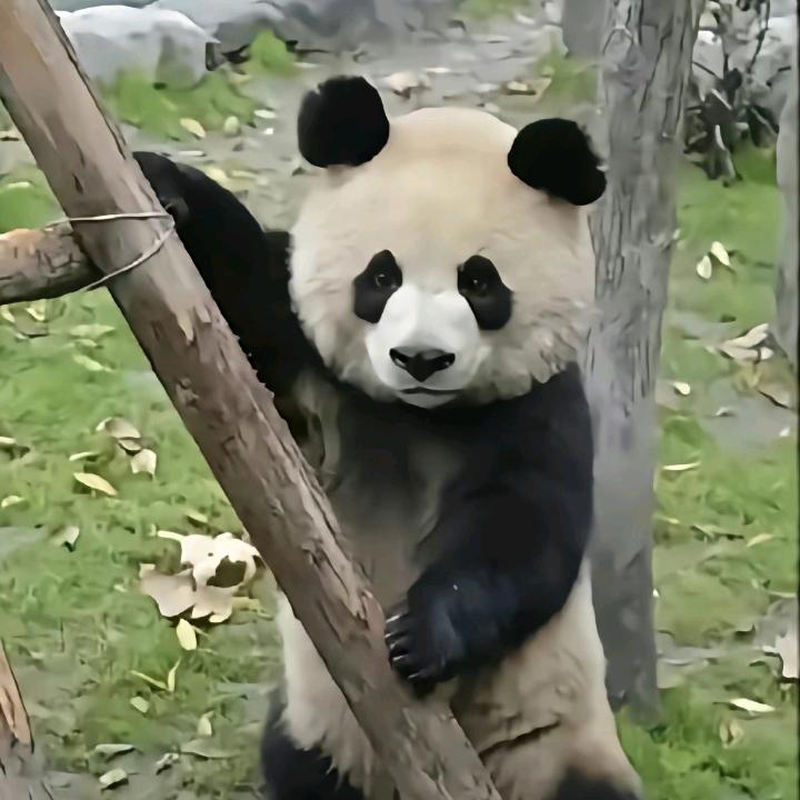 👤常杰推拿