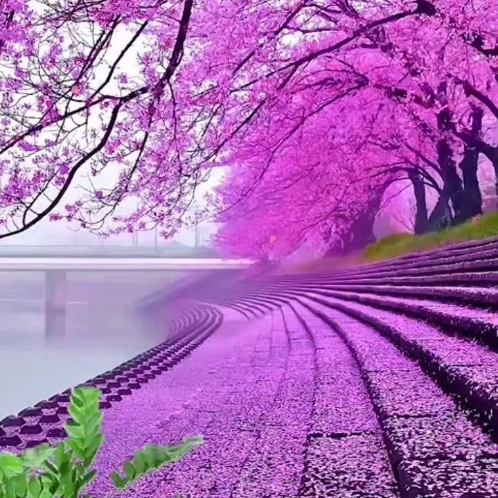 削铁如泥