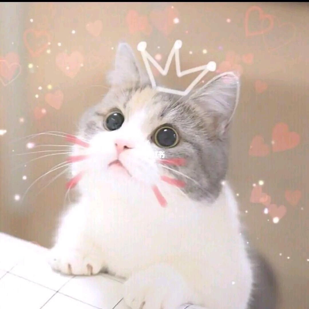 杨柳春风意荷花