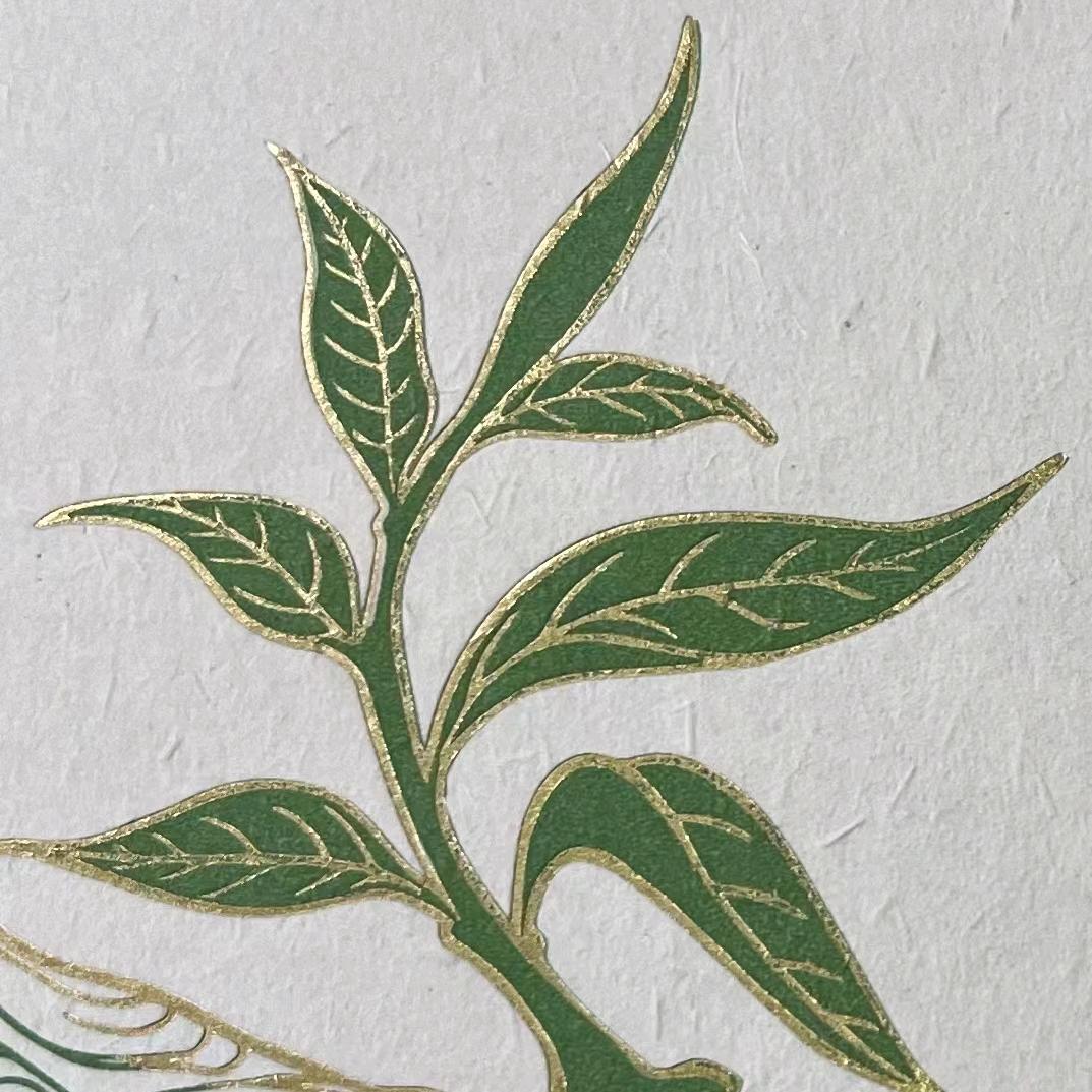 王江鑫（鑫缘轩茶坊批发）