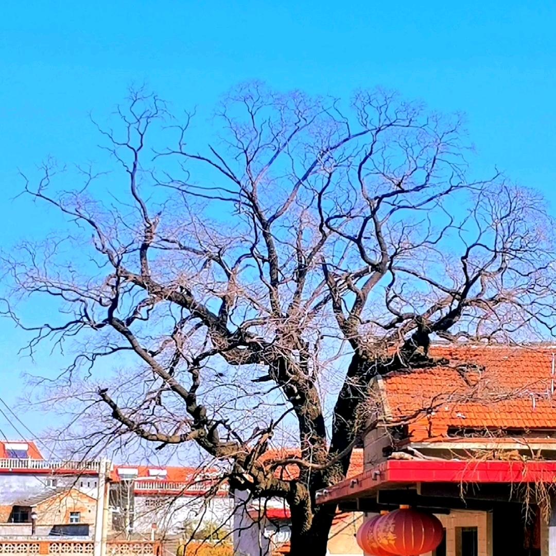 时 光 礼 記